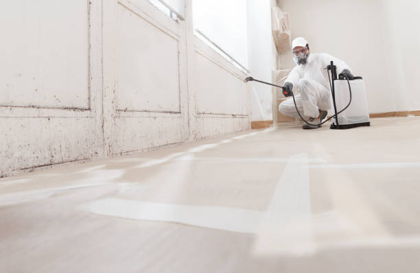 24/7 Emergency Mold Remediation experts in Glencoe, MN